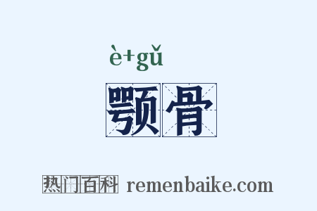 颚骨是什么意思的图片